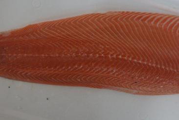 Salmon fillet skinless 5000/6000 trim E